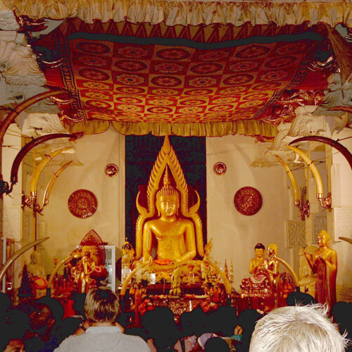 8 Days of Hidden Lanka” – A Rare, One-of-a-Kind Journey