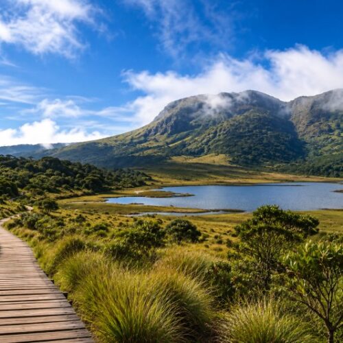 8-Day Hiking Adventure in Sri Lanka: Trails, Peaks & Wild Beauty