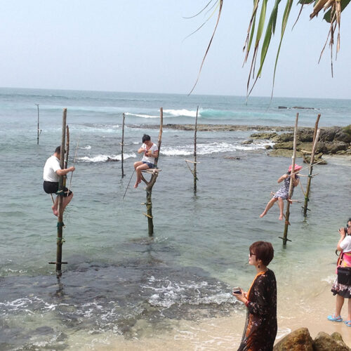 8-Day, 7-Night Family-Friendly Sri Lanka Itinerary for Women and Children