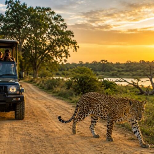 7-day Sri Lanka travel itinerary that blends nature, culture, adventure, and relaxation